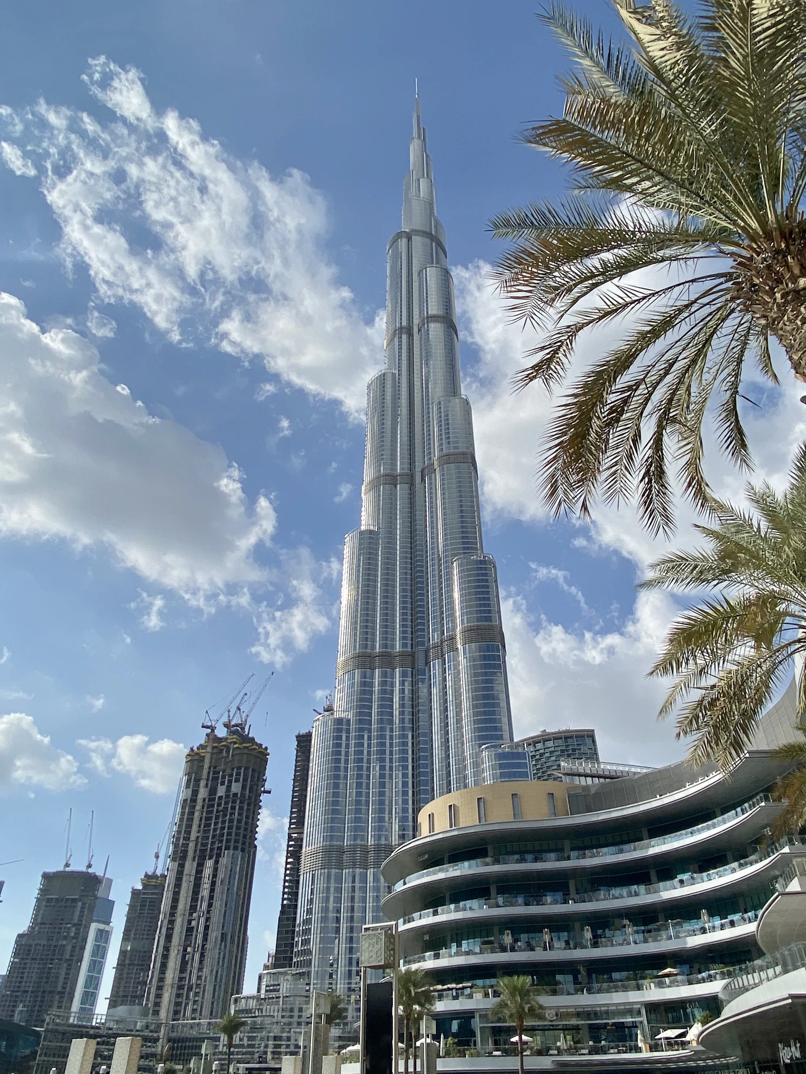 UAE Corporate Tax: What It Means for Free Zone Companies in 2026